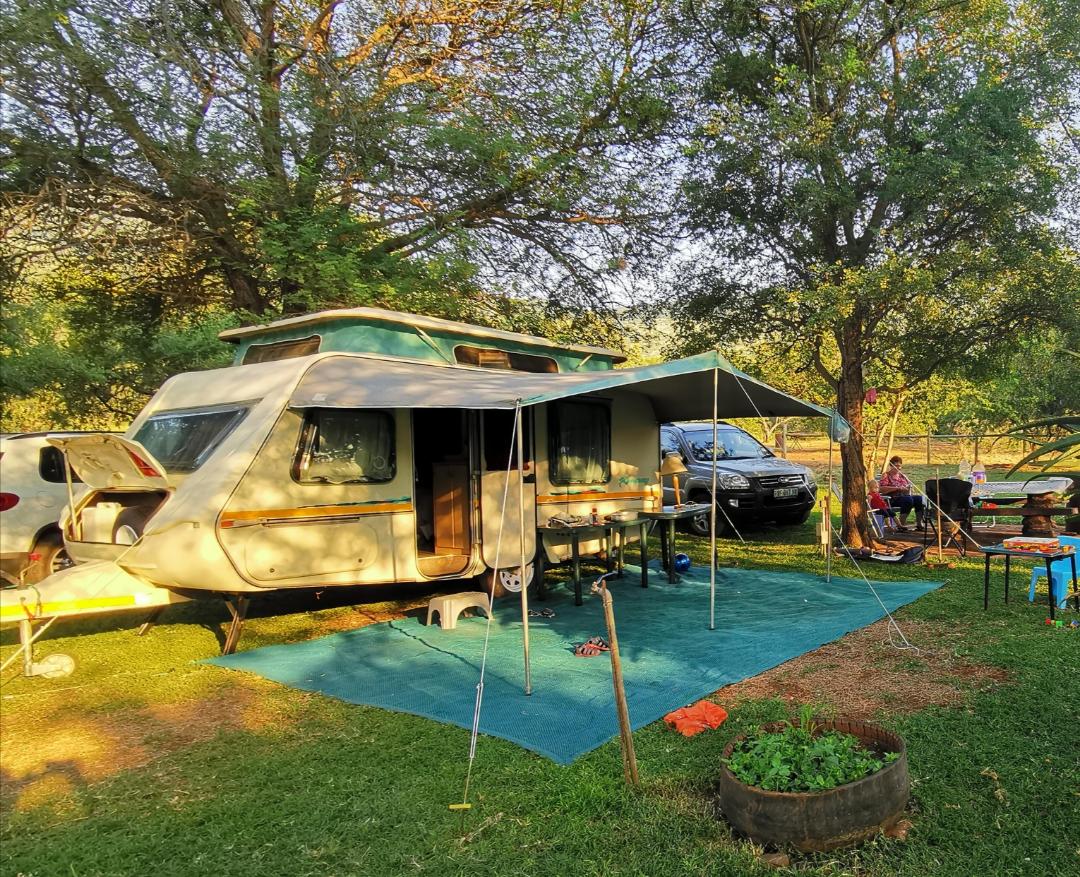 Gypsey Romany, spacious with movers